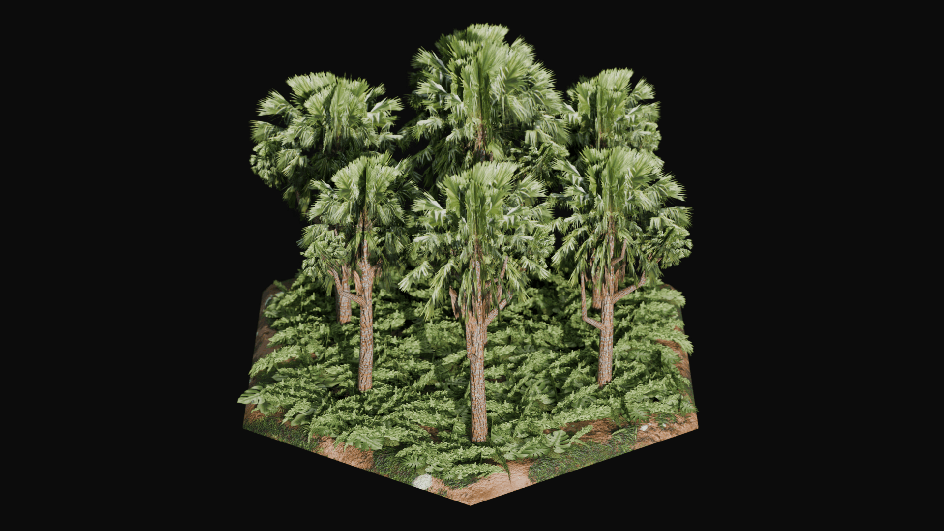 Tropical Rainforest biome