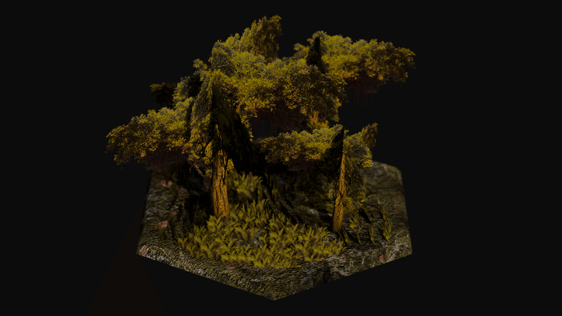 Temperate Rainforest biome