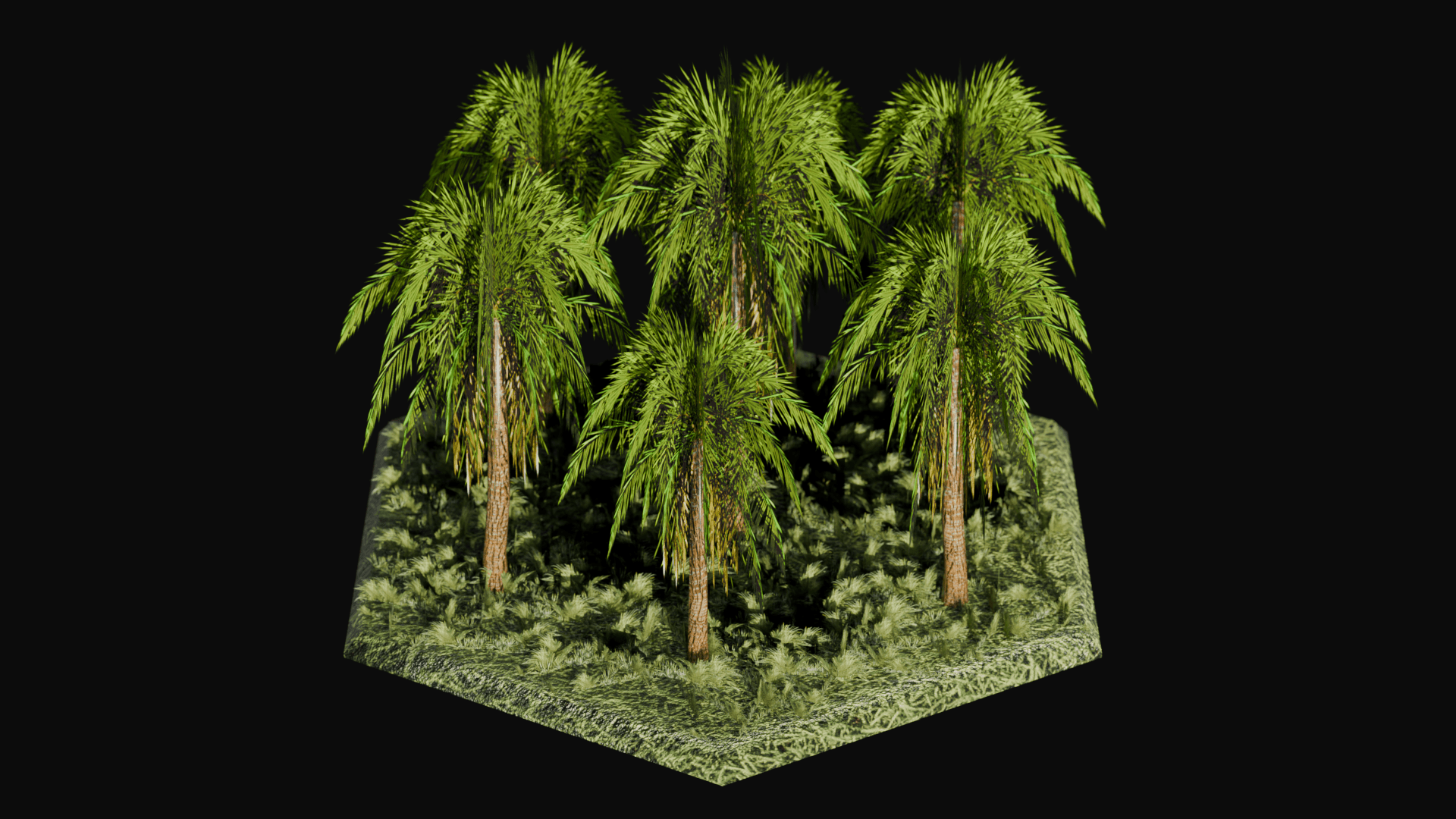 Tropical Seasonal Forest biome